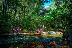 BIB: 
                            <button type="button" onclick="openModal(21765090)" class="btn btn-primary btn-sm float-right btn-popup" data-toggle="modal" data-target=".modal-high-quality">
                        <i class="fas fa-shopping-cart"></i> Add to Cart
                    </button>
                                            <button type="button" onclick="isThisMe(21765090, true)" class="btn btn-success btn-sm float-right btn-popup btn-isme hidden" data-toggle="tooltip" data-placement="bottom" title="นี่คือรูปของคุณใช่ไหม คลิกที่นี่เพื่อเอาเข้าอัลบั้ม">
                        <i class="fas fa-plus"></i> Add to album
                    </button>
                    <button type="button" onclick="isThisMe(21765090, false)" class="btn btn-warning btn-sm float-right btn-popup btn-isnotme hidden">
                        <i class="fas fa-ban"></i> Remove from album
                    </button>